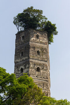 溫州江心寺