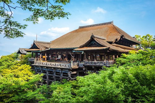 潮人旅行家 京都 大阪 的味道 參加完潮人國(guó)旅這個(gè)產(chǎn)品,客人驚呼 到樂