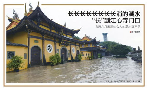 800多年前,江心嶼曾遭遇溫州史上最慘水災(zāi) t它都渡了哪些臺風(fēng)劫