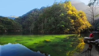 1350 世界火山奇觀,夜游中華名山 溫州 雁蕩山 楠溪江動(dòng)車3日游