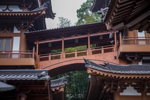 溫州江心寺 千年古剎重現光彩，免費開放惠澤香客