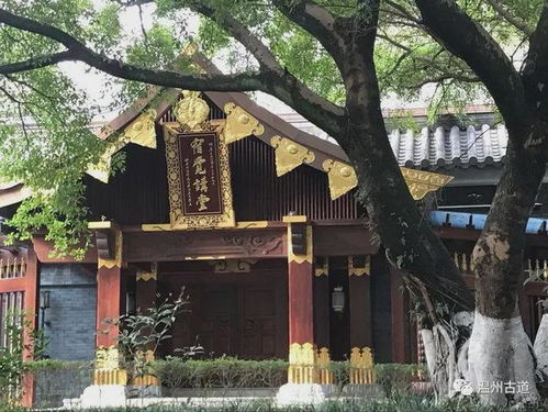 尋蹤松臺山 溫州江心寺——尋找記憶里的溫州之四