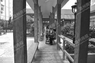 溫州海歸成年輕院長 把打火機(jī)廠改成養(yǎng)老院 溫州江心寺