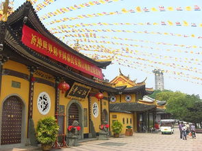 還在轉發楊超越？寧波及周邊最靈寺廟，杭州靈隱寺、溫州江心寺都在這里！