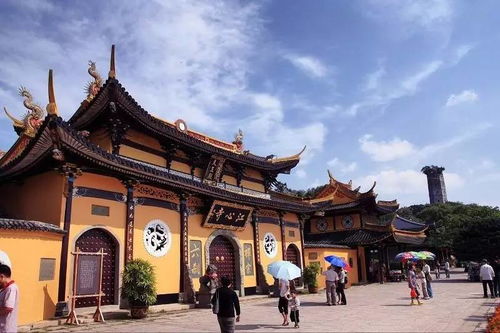 我在溫州剛剛好，何必羨慕北上廣